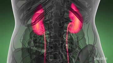 11 dấu hiệu cho thấy thận đang 'kêu cứu'