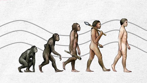 Nhìn lại những bước tiến hóa 'lỗi' của con người