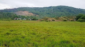 Nông dân Đà Nẵng bỏ ruộng 10 năm vì cống thoát nước gây ngập úng