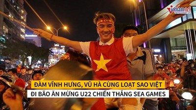 Đàm Vĩnh Hưng, Vũ Hà cùng loạt sao Việt đi 'bão' mừng HCV Sea Games