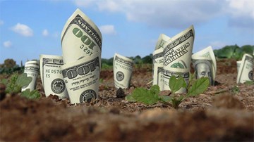 Khám phá dây chuyền biến hàng triệu đô la tiền mặt thành phân bón