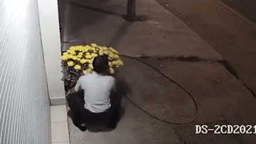 Trộm đánh ô tô vào tận cửa, bê luôn 2 chậu hoa chơi tết của gia chủ