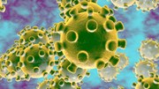 Phòng tránh bệnh viêm phổi cấp do virus corona bằng cách nào?