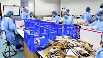 Bên trong 'phân xưởng' điều chế máu lớn nhất Việt Nam
