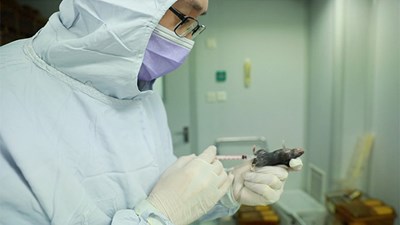 Trung Quốc tiến hành thử vắc xin kháng virus corona trên chuột