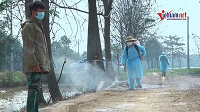 Ổ dịch cúm A/H5N6 đầu tiên ở Hà Nội tiêu hủy 7.000 gia cầm