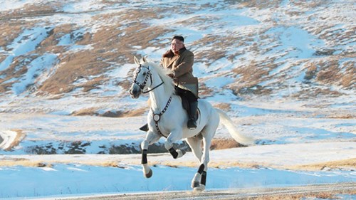 Triều Tiên chi bao nhiêu tiền cho đàn ngựa trắng siêu đẹp của ông Kim?