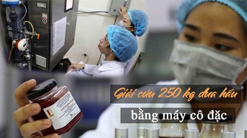 ĐH Bách Khoa ứng dụng công nghệ có khả năng 'giải cứu' 200 tấn dưa hấu/ngày