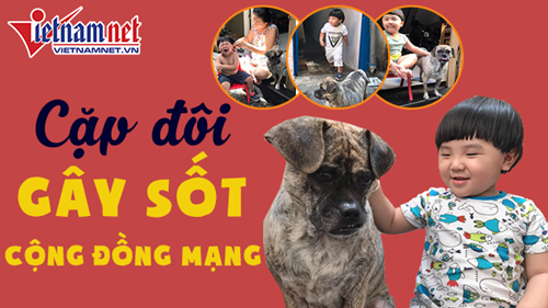 Cặp đôi 'sen và boss' gây sốt cộng đồng mạng