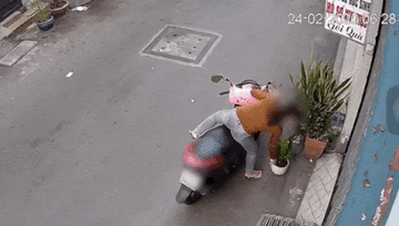 Cô gái gặp tai nạn khi trộm cây, vẫn 