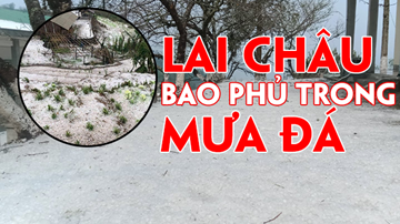Lai Châu bao phủ trong mưa đá, bị thiệt hại nặng nề