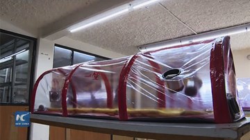 Mexico cho ra đời lồng cách ly siêu gọn nhẹ dành cho bệnh nhân Covid-19