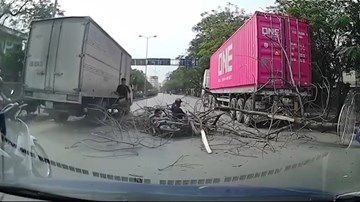 Cây khô bật gốc đổ ập xuống đường trúng 2 người đi xe máy