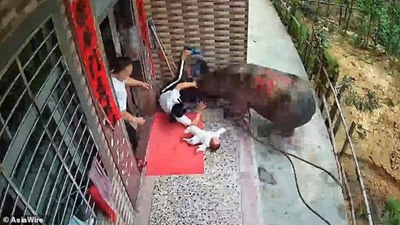 Người mẹ đang bế con đứng trước cửa nhà bị trâu điên húc văng vào tường