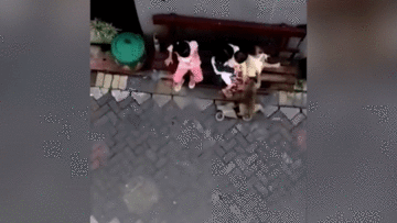 Khỉ ngang nhiên 'bắt cóc' bé gái lôi đi trên đường phố