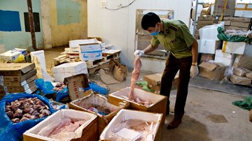 Bắt 6 tấn nội tạng lợn, chân gà bẩn trong kho lạnh ở Hà Nội