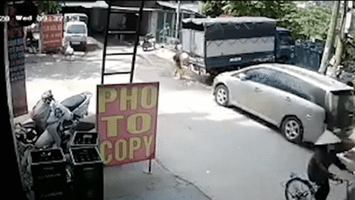 Đang rửa xe, người đàn ông 'thót tim' vì gặp tai nạn bất ngờ