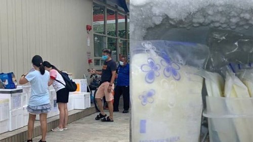 Vận chuyển sữa mẹ xuyên biên giới trong thời phong tỏa vì dịch Covid-19