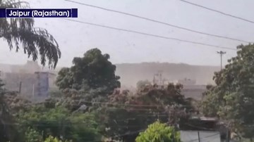 Châu chấu bay rợp trời, Ấn Độ quay cuồng đối phó