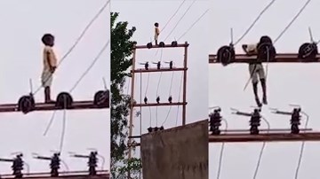 Bé trai 5 tuổi leo cột điện cao chót vót để 'ngắm cảnh'