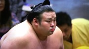 Bí mật không ngờ trong kiểu tóc của các võ sĩ sumo