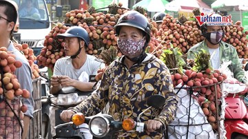 Thương lái TQ sang mua vải thiều: Cách ly ở khách sạn, chế độ 120.000/ ngày