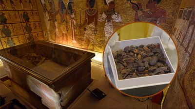 Vì sao lăng mộ vị Pharaoh nổi tiếng nhất Ai Cập ngập tràn đồ ăn?