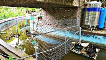 Công viên nước nghìn tỷ bỏ hoang giữa Thủ đô, quây rào nuôi gà vịt