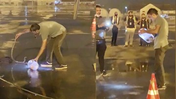 Rắn hổ mang chúa quấn quanh càng máy bay