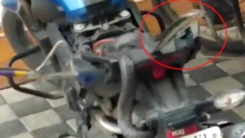 Lái xe được 20km, 2 người đàn ông bỏ chạy khi thấy rắn hổ dưới yên xe