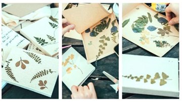 9x làm sổ tay từ lá khô cùng hành trình lưu giữ vẻ đẹp của thiên nhiên