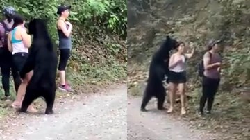 Bị gấu đen ‘sàm sỡ’, cô gái bình tĩnh rút điện thoại ‘'tự sướng’