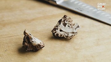 Loại nấm hình não người, chứa độc gây tử vong vẫn kích thích thực khách
