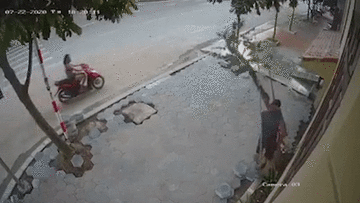 Đôi nam nữ ngang nhiên vác trộm cây trước nhà dân