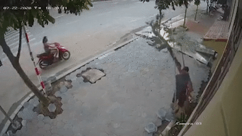 Đôi nam nữ ngang nhiên vác trộm cây trước nhà dân