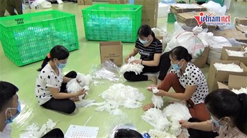 Nhặt hàng tấn găng tay y tế bẩn đóng gói bán ra thị trường