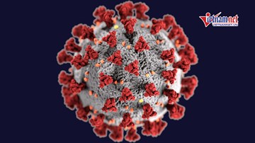 Chiều 29/8, Đà Nẵng, Bình Dương thêm 2 ca Covid-19, VN có 1.040 bệnh nhân