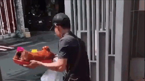 Thanh niên bê mâm heo quay bỏ chạy, gia chủ gọi lại “Heo ơi, nước chấm”