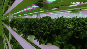 Các công ty khởi nghiệp Singapore chuẩn bị gì cho tương lai sau đại dịch?