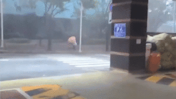 Khoảnh khắc người đi bộ Hàn Quốc 'đánh vật' với cơn bão Haishen