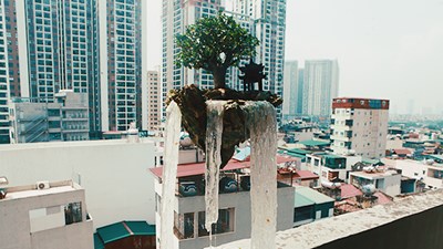 Nghệ nhân bonsai đưa 'hòn đảo bay' từ phim viễn tưởng ra ngoài đời thực