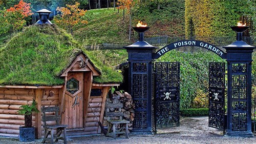 Khu vườn chết chóc, chứa cả trăm cây kịch độc của Nữ Công tước nước Anh