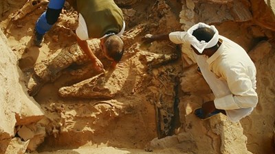 Bí ẩn xác ướp cá sấu trong lăng mộ hàng nghìn năm tuổi ở Ai Cập