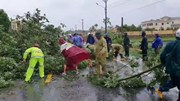 Quân và dân các tỉnh miền Trung khẩn trương khắc phục hậu quả sau bão số 9