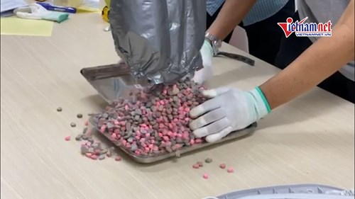 Thu giữ hơn 20kg ma túy trong các lô hàng quà biếu