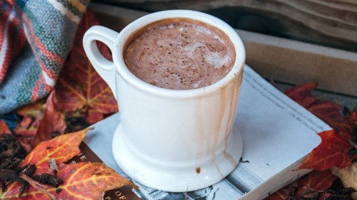Nghiên cứu mới phát hiện ra tác dụng tuyệt vời của cacao tới bộ não