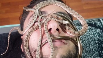 Mát-xa với rắn - biện pháp trị liệu giúp khách hàng vừa khỏe vừa vui