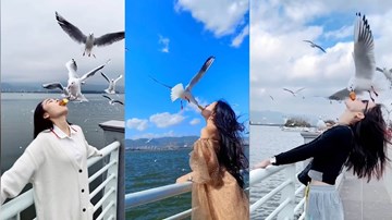 Mê video 'sống ảo' mạng xã hội, thiếu nữ dùng miệng cho chim ăn