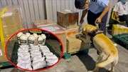 Bắt giữ thêm hơn 5 kg ma tuý tại sân bay Tân Sơn Nhất