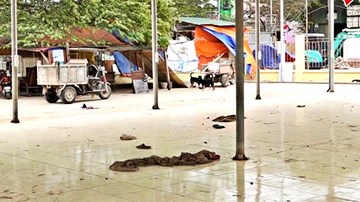 Đầu tư hơn 21 tỷ, chợ dân sinh ở Hà Nội thành chỗ thả chó, đậu xe